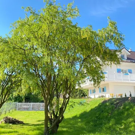 Apartamento Fiona4 Centrum700m Parking Bezplatny Monitorowany Salon Z Sypialnia Tv Lazienka Kuchnia Rekuperacja Karpacz