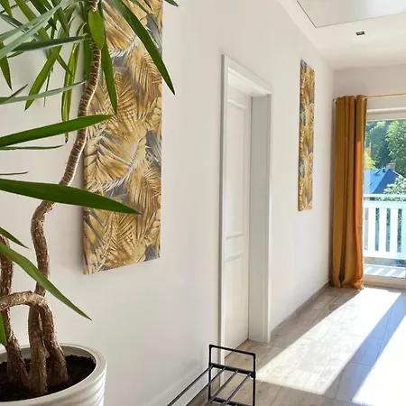 公寓 Fiona4 Centrum700m Parking Bezplatny Monitorowany Salon Z Sypialnia Tv Lazienka Kuchnia Rekuperacja 卡尔帕奇