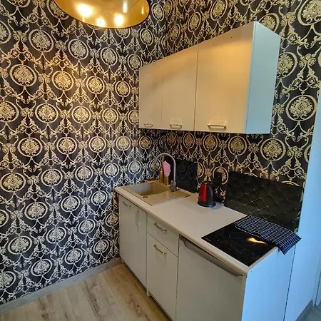 公寓 Fiona4 Centrum700m Parking Bezplatny Monitorowany Salon Z Sypialnia Tv Lazienka Kuchnia Rekuperacja 卡尔帕奇