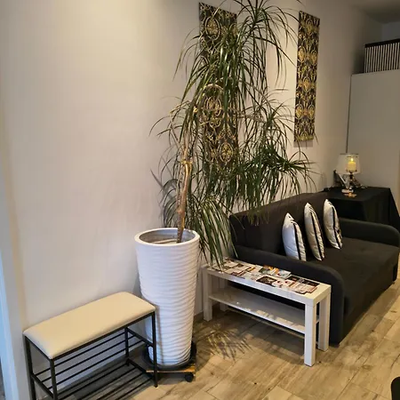 Fiona4 Centrum700m Parking Bezplatny Monitorowany Salon Z Sypialnia Tv Lazienka Kuchnia Rekuperacja Lejlighed