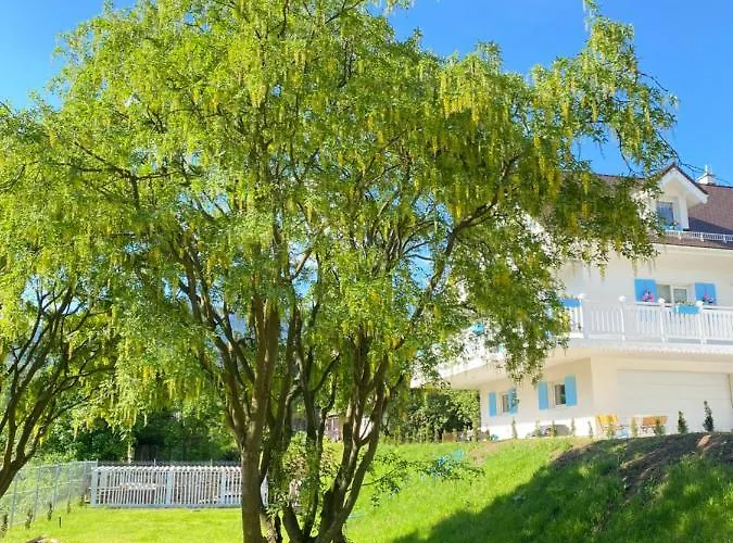 Apartment Fiona4 Centrum700m Parking Bezplatny Monitorowany Salon Z Sypialnia Tv Lazienka Kuchnia Rekuperacja Karpacz